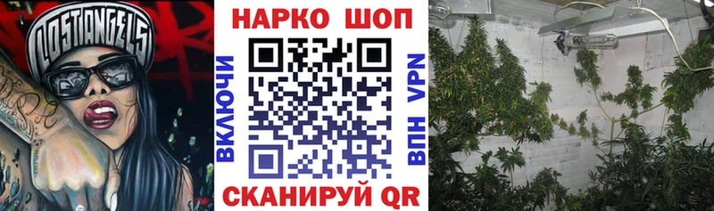 Альфа ПВП Староминская