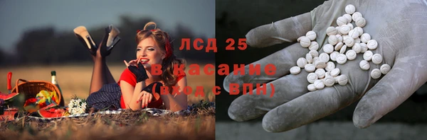 амф Беломорск