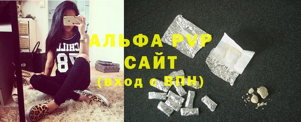 дмт Белокуриха