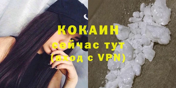 дмт Белокуриха