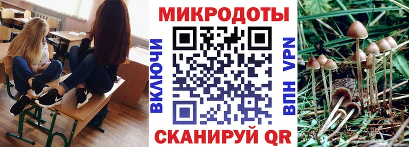 Псилоцибиновые грибы прущие грибы  Староминская 