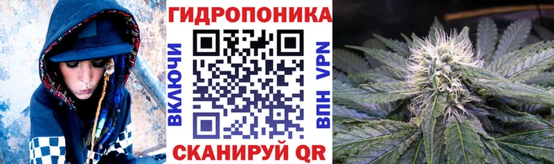 Бошки марихуана марихуана  kraken как войти  Староминская 